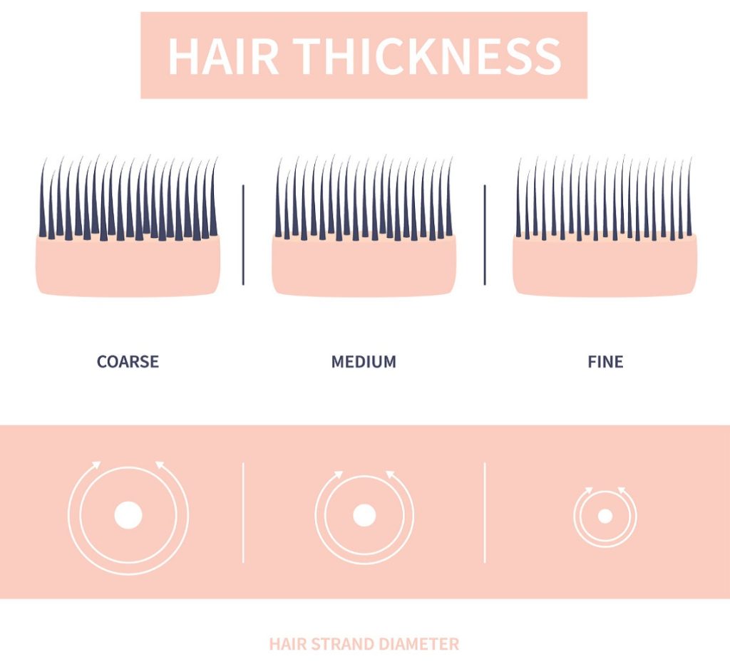 hair thickness types chart of thin
